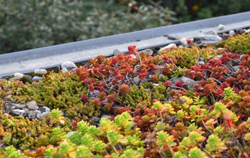 the cost of Radway Green green roof installation