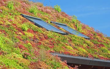 Radway Green living roof systems