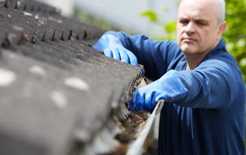 cleaning and inspecting Radway Green roofs